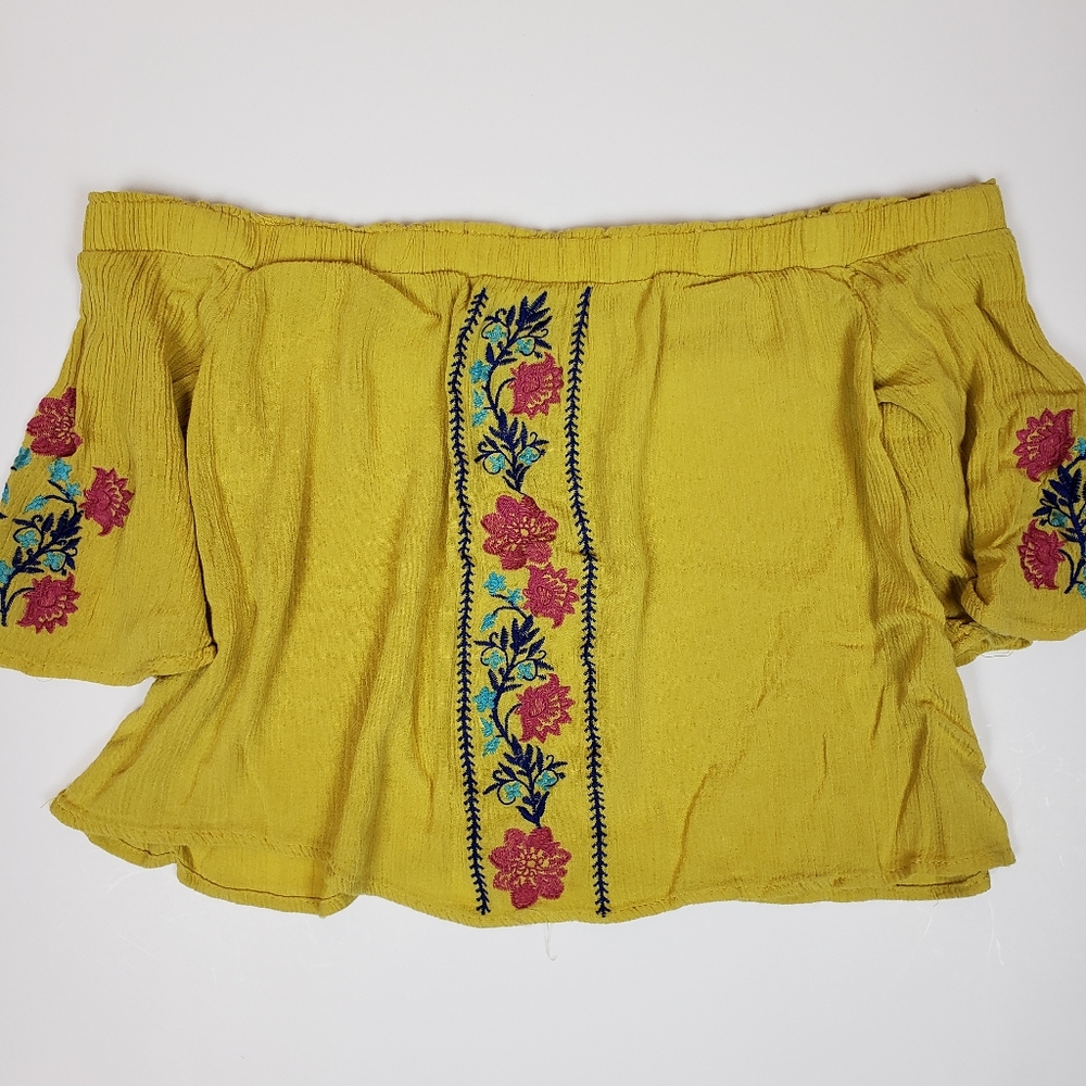 bleuh ciel Embroidered Crop Top